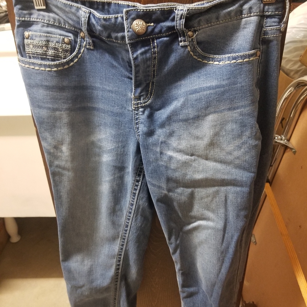 a.n.a Stylish Indigo Skinny Jeans